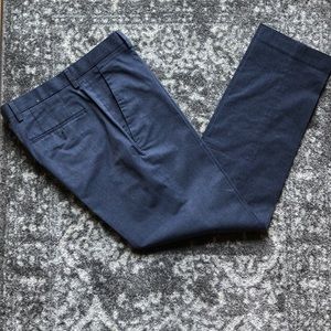 Express Mens Blue Pant